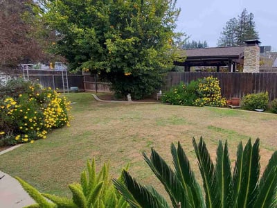 Leaf Removal service in Fresno, 93721