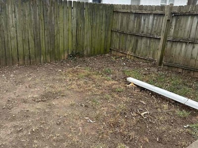 Leaf Removal service in Des Moines, 50309