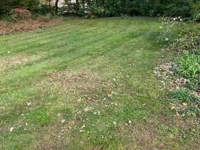 Leaf Removal service in New Haven County, 06471