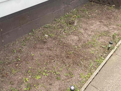 Leaf Removal service in Youngstown, 44503