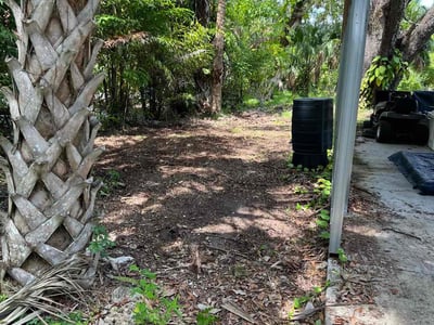 Leaf Removal service in Fort Myers, 33901