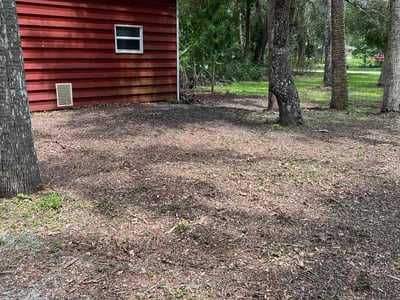 Leaf Removal service in Fort Myers, 33901