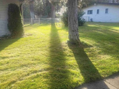 Leaf Removal service in Spokane, 99201