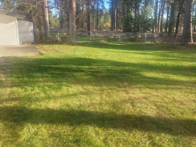 Leaf Removal service in Spokane, 99201