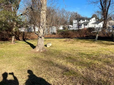 Leaf Removal service in Hartford County, 06001