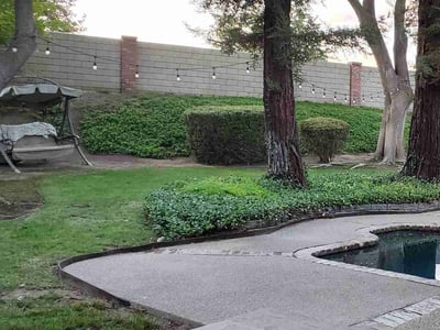 Leaf Removal service in Fresno, 93721