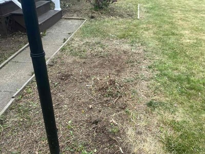 Leaf Removal service in Youngstown, 44503