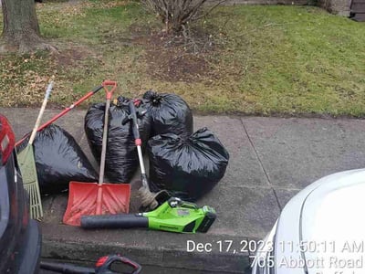 Leaf Removal service in Buffalo, 14202