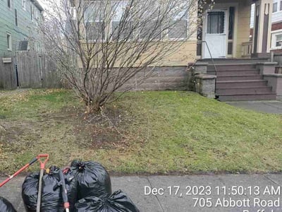 Leaf Removal service in Buffalo, 14202