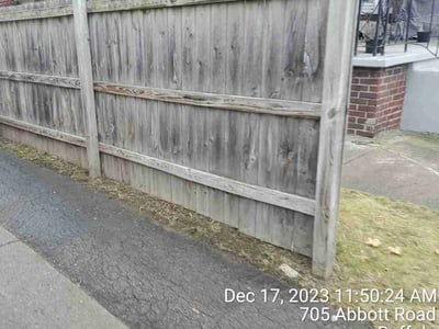 Leaf Removal service in Buffalo, 14202