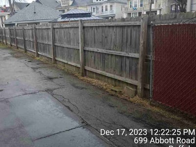 Leaf Removal service in Buffalo, 14202