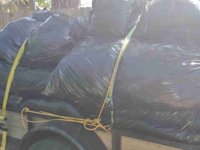 Leaf Removal service in Fort Myers, 33901