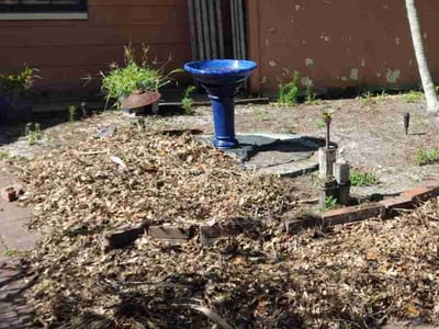 Leaf Removal service in Fort Myers, 33901