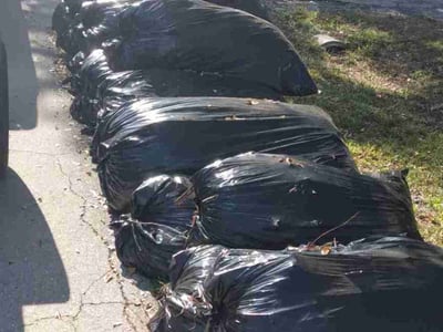 Leaf Removal service in Fort Myers, 33901