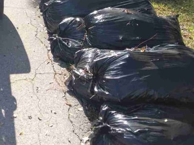 Leaf Removal service in Fort Myers, 33901