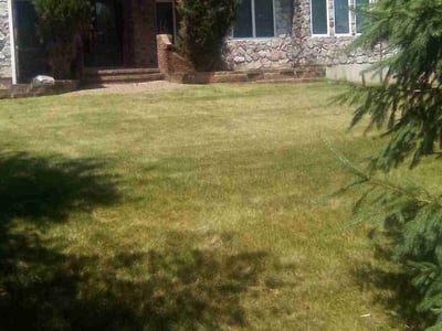 Leaf Removal service in Lehigh Valley, 18103