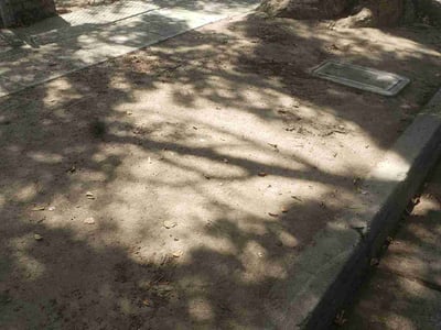 Leaf Removal service in Fresno, 93721
