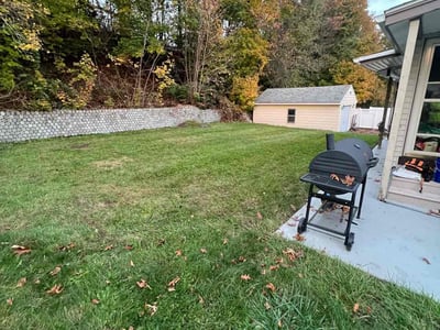 Leaf Removal service in Hartford County, 06001