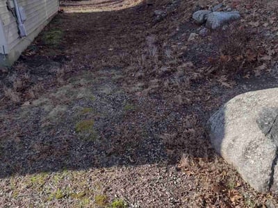 Leaf Removal service in New Haven County, 06471