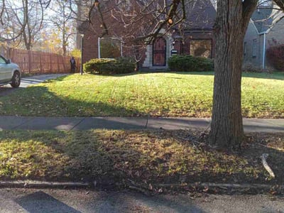 Leaf Removal service in Youngstown, 44503