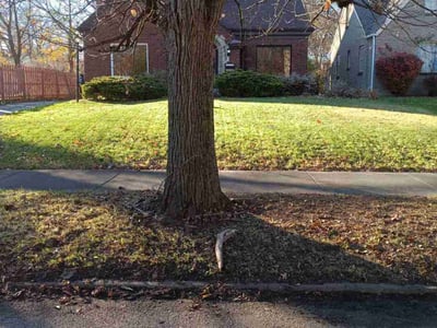 Leaf Removal service in Youngstown, 44503