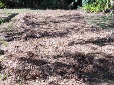 Leaf Removal service in Fort Myers, 33901
