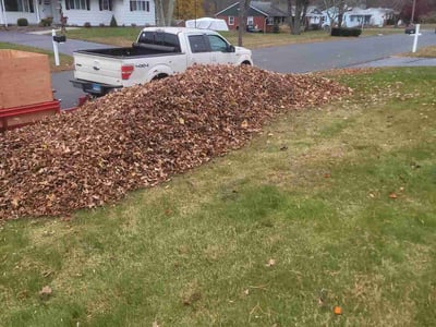 Leaf Removal service in New Haven County, 06471