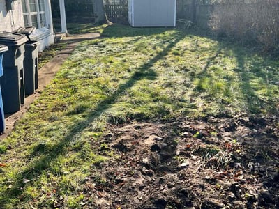 Leaf Removal service in Toledo, 43604