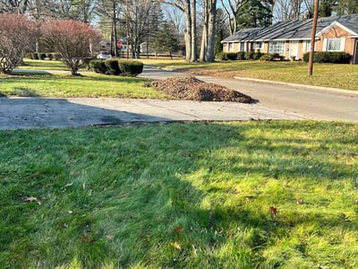Leaf Removal service in Toledo, 43604