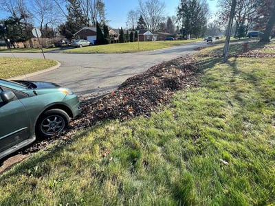 Leaf Removal service in Toledo, 43604