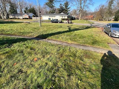 Leaf Removal service in Toledo, 43604