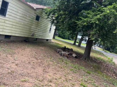 Leaf Removal service in Hartford County, 06001