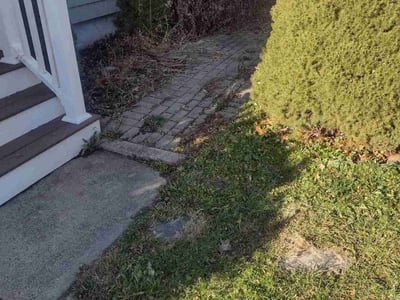 Leaf Removal service in New Haven County, 06471