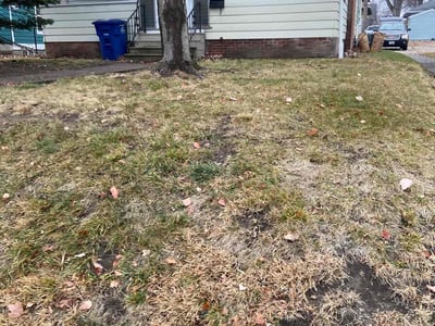 Leaf Removal service in Des Moines, 50309