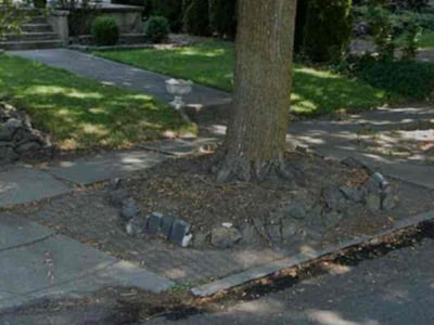 Leaf Removal service in Spokane, 99201