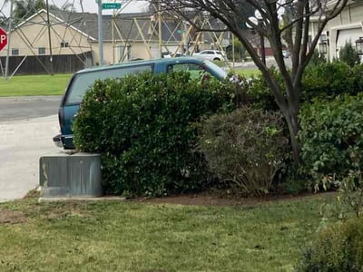 Leaf Removal service in Fresno, 93721