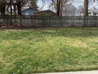 Leaf Removal service in Des Moines, 50309