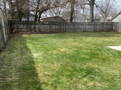 Leaf Removal service in Des Moines, 50309