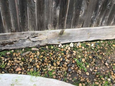 Leaf Removal service in Fresno, 93721