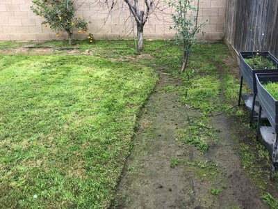 Leaf Removal service in Fresno, 93721
