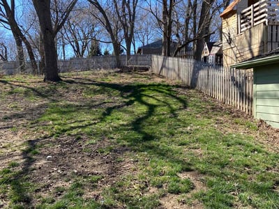 Lawn Care service in Springfield Gardens, 11434