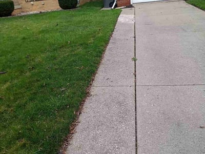 Leaf Removal service in Toledo, 43604