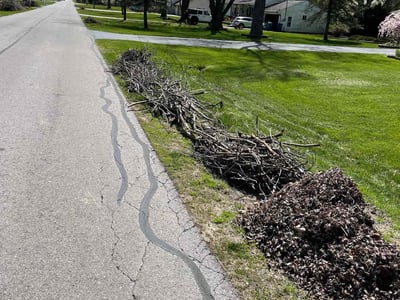 Leaf Removal service in Toledo, 43604