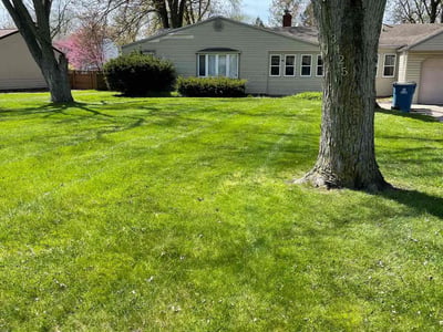 Leaf Removal service in Toledo, 43604