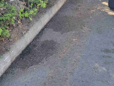 Leaf Removal service in Spokane, 99201