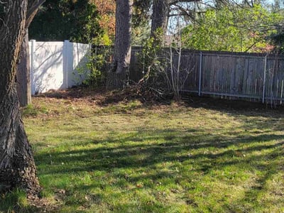 Leaf Removal service in Spokane, 99201