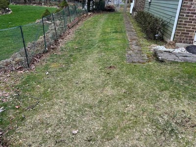 Leaf Removal service in Lehigh Valley, 18103