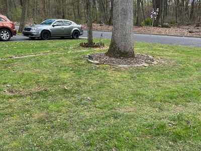 Leaf Removal service in Lehigh Valley, 18103