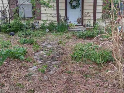 Leaf Removal service in Des Moines, 50309