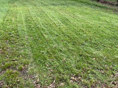 Leaf Removal service in Hartford County, 06001
